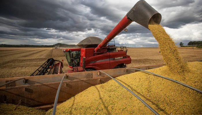 © Wenderson Araujo/Trilux Produção brasileira de grãos deve ser 14,2% maior